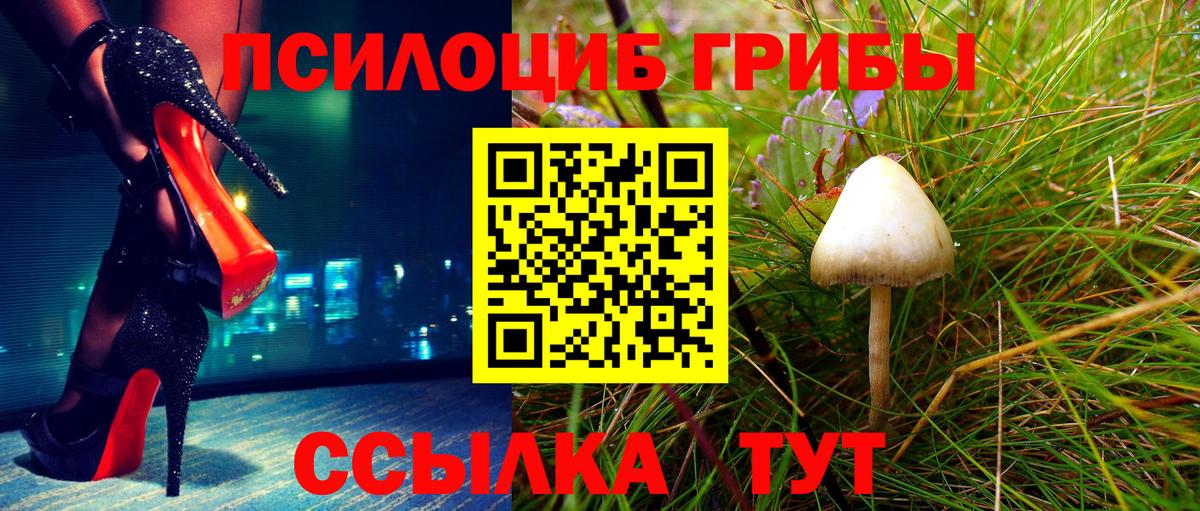 Галлюциногенные грибы MAGIC MUSHROOMS Сухой Лог